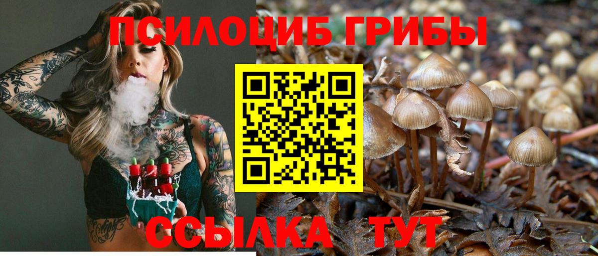 Галлюциногенные грибы ЛСД Прокопьевск