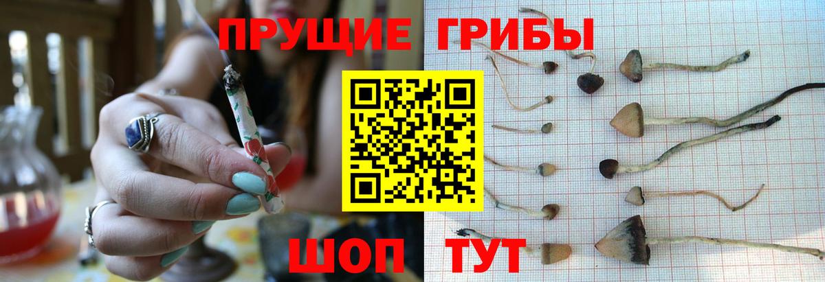 Галлюциногенные грибы MAGIC MUSHROOMS  Вход с VPN  Прокопьевск 
